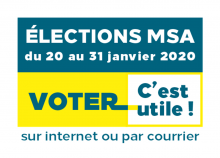 élections MSA 2020