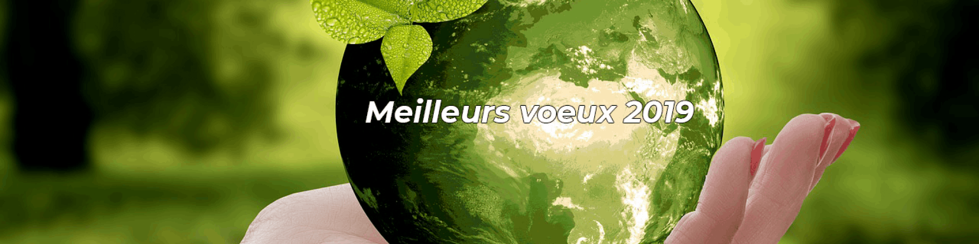 Meilleurs vœux